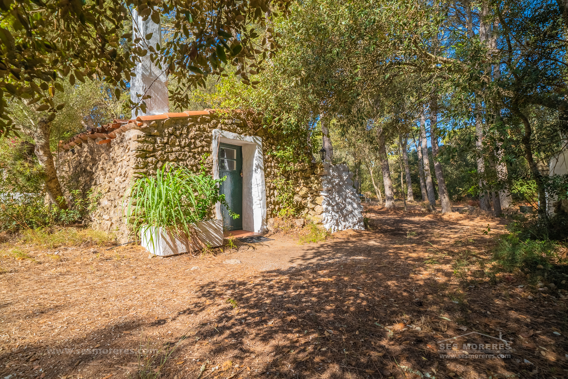 Country house in Alaior